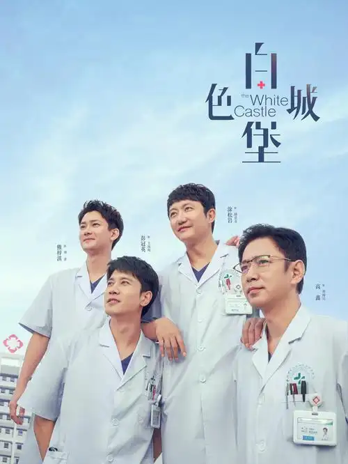 代号白鹭电视剧海报